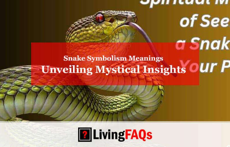 Snake Symbolism Meanings