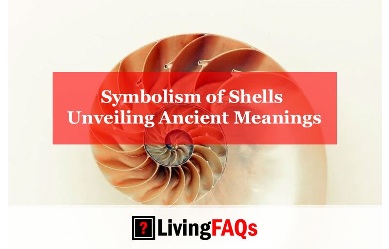 Symbolism of Shells Unveiling Ancient Meanings
