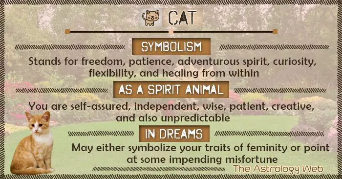 Cat Symbolism Meanings