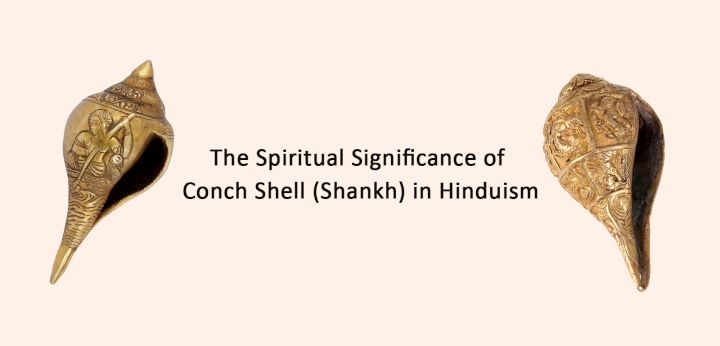 Conch Shell Spiritual Meaning