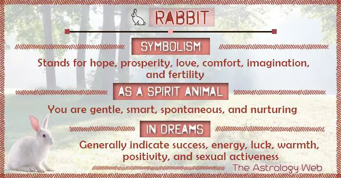 Hare Symbolism Meanings