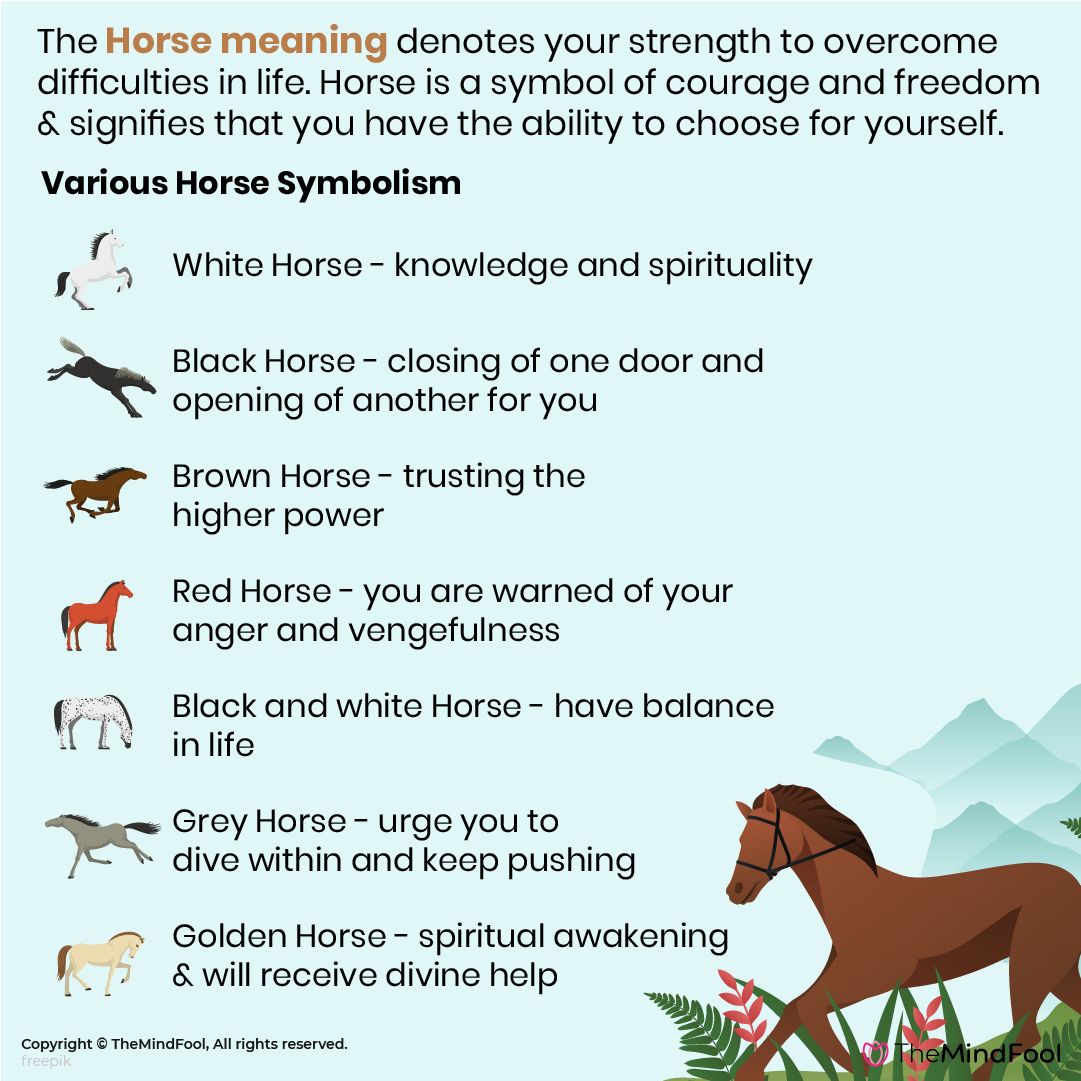 Horse Symbolism Meanings