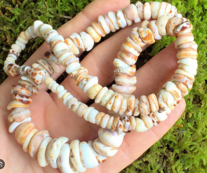 Puka Shell Necklace Meaning