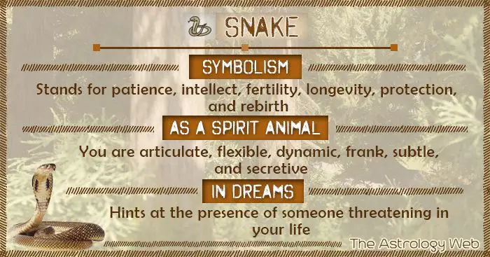 Snake Symbolism Meanings