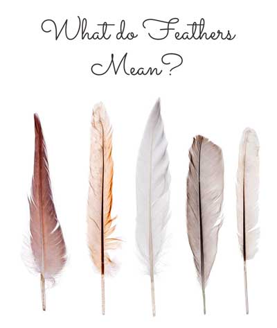 Symbolism of Feathers