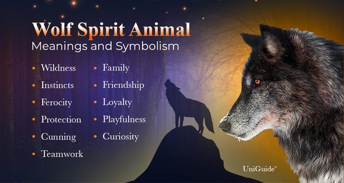 Wolf Symbolism Meanings