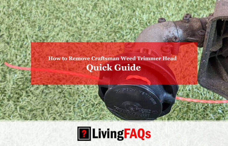 How to Remove Craftsman Weed Trimmer Head-FI