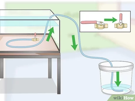 How to Siphon Using a Garden Hose