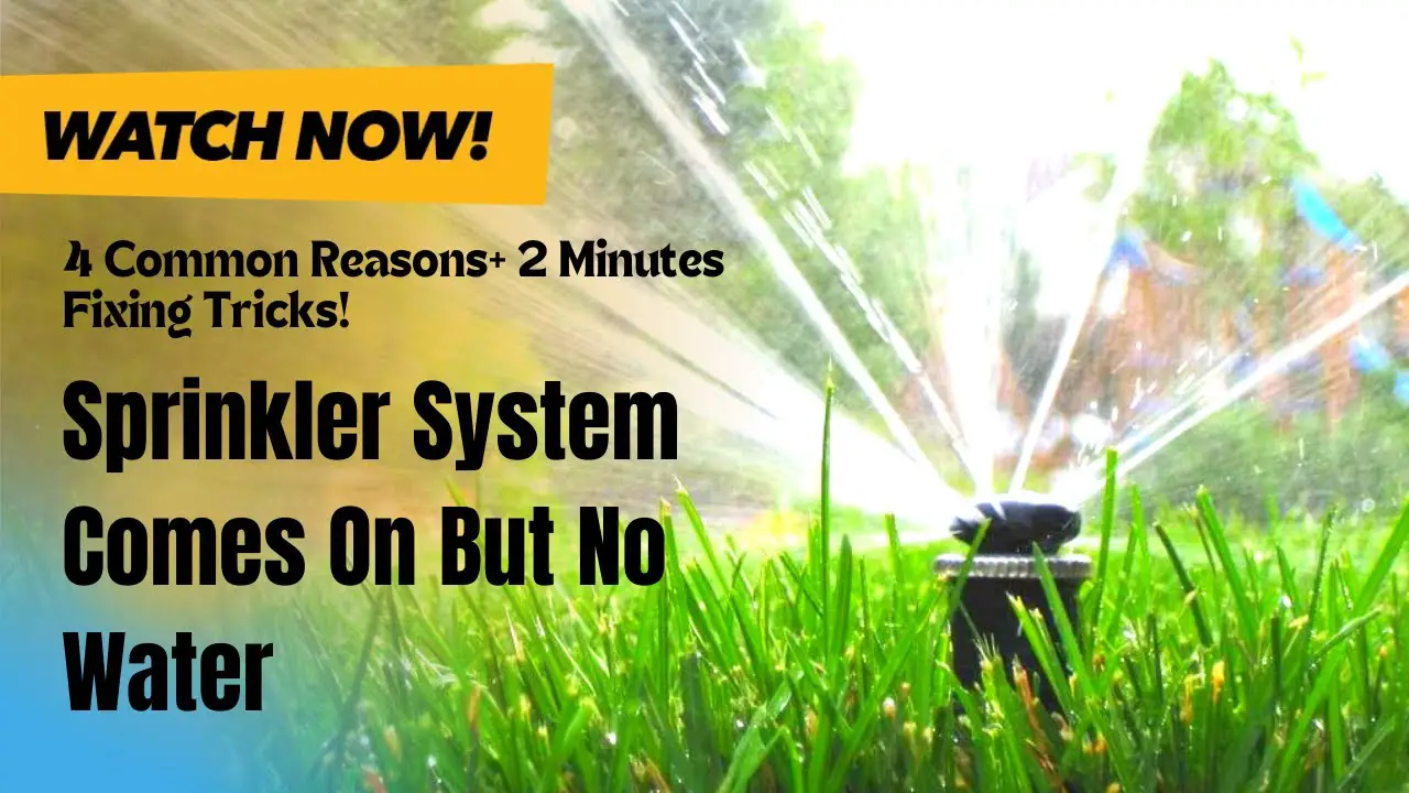 Sprinkler System Comes on But No Water