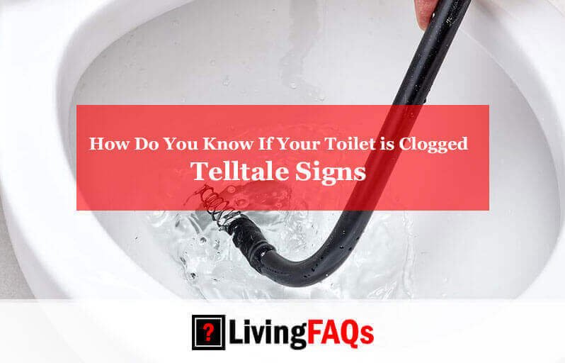 How Do You Know If Your Toilet is Clogged-FI