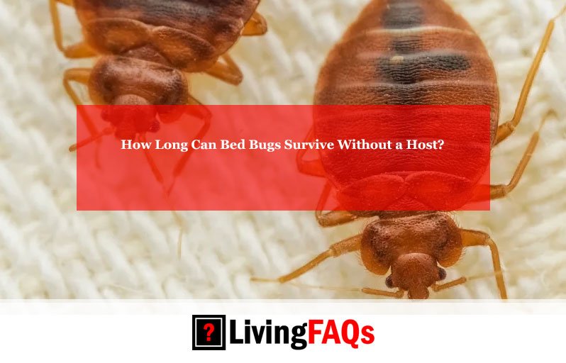 How Long Can Bed Bugs Survive Without a Host-FI