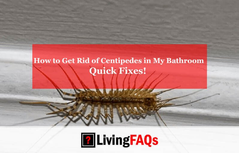 How to Get Rid of Centipedes in My Bathroom-FI