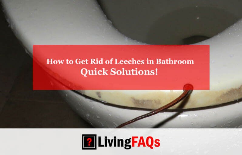 How to Get Rid of Leeches in Bathroom-FI