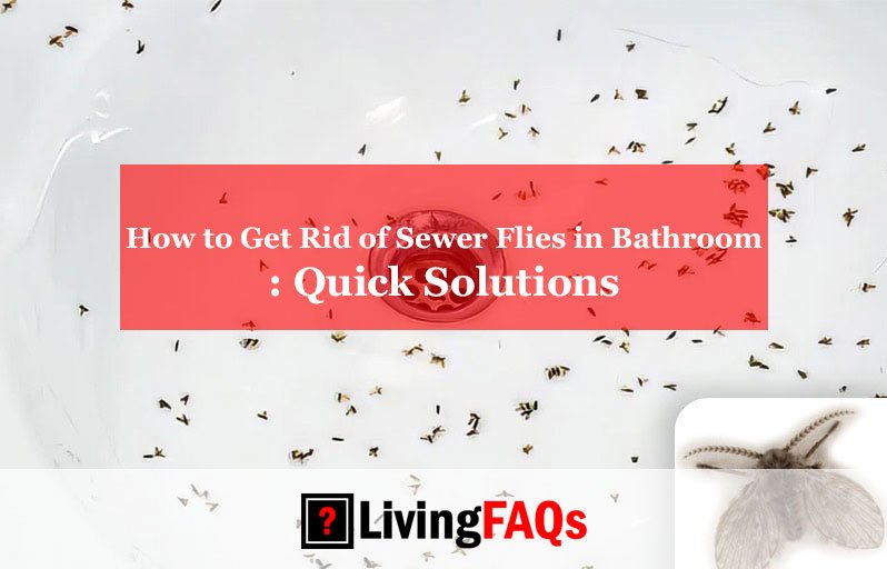 How to Get Rid of Sewer Flies in Bathroom-FI