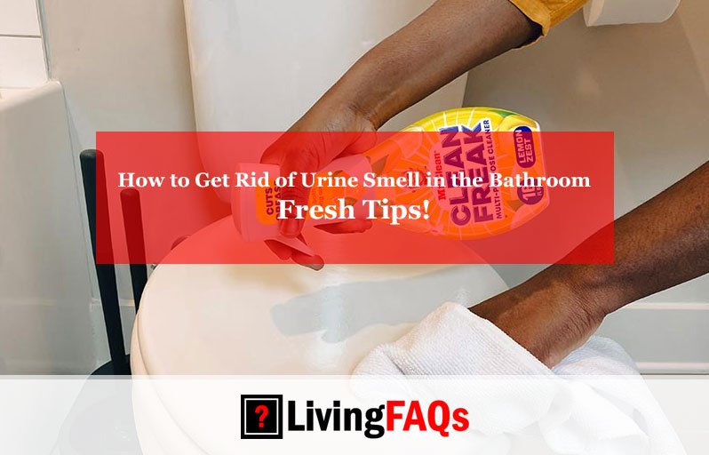 How to Get Rid of Urine Smell in the Bathroom-FI