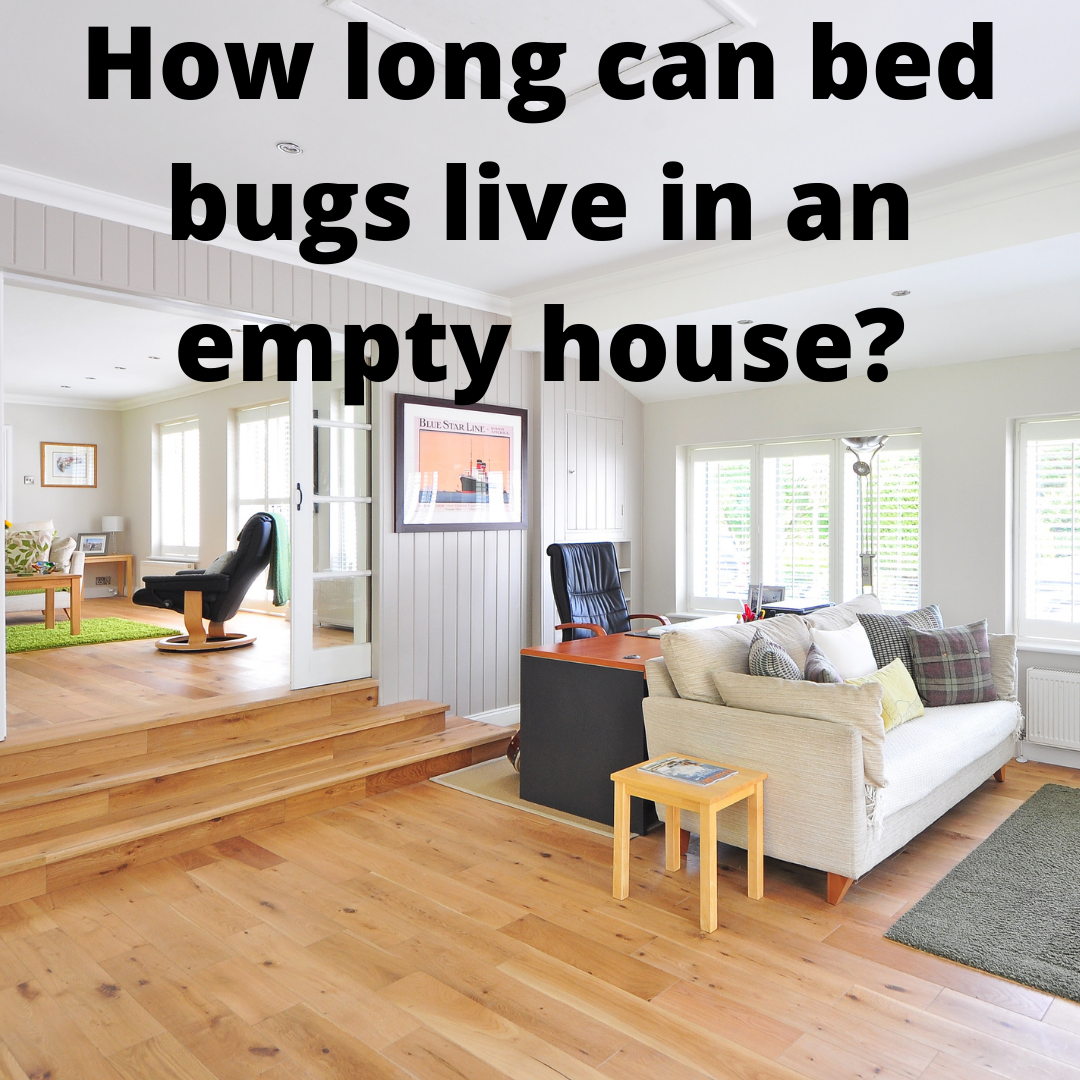 How Long Can Bed Bugs Live in an Empty House