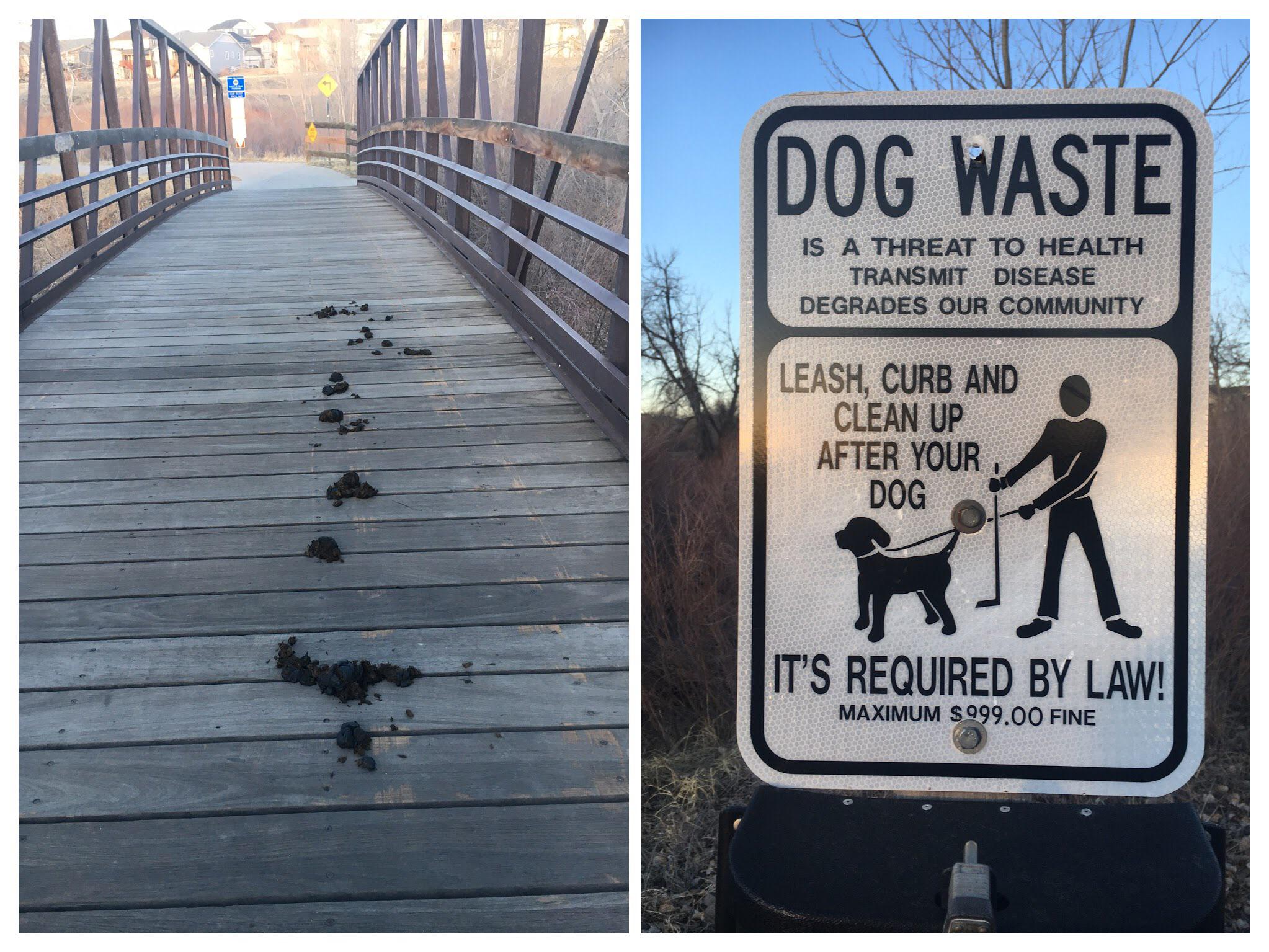 Is Not Picking Up Dog Poop Illegal